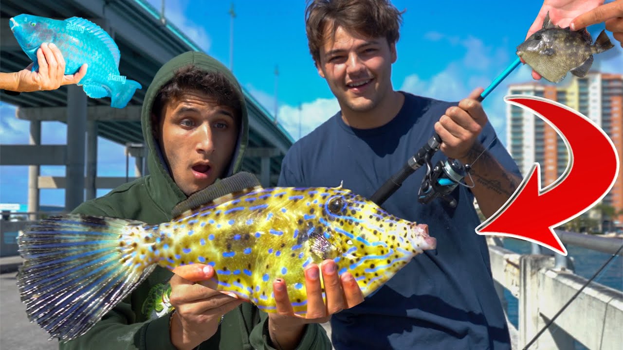 We caught a ton of exotic fish!