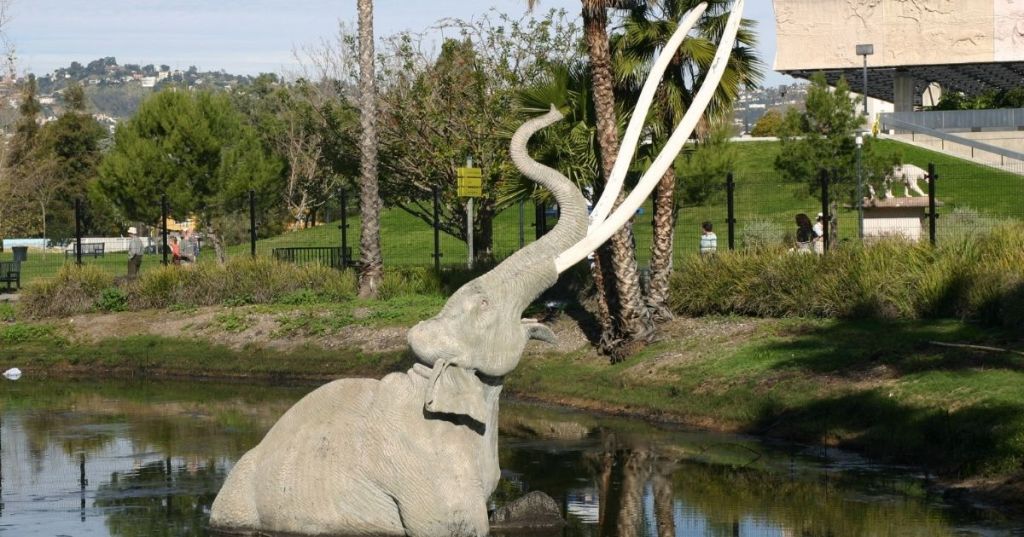 Mammoth art installation at La Brea Tar Pits
