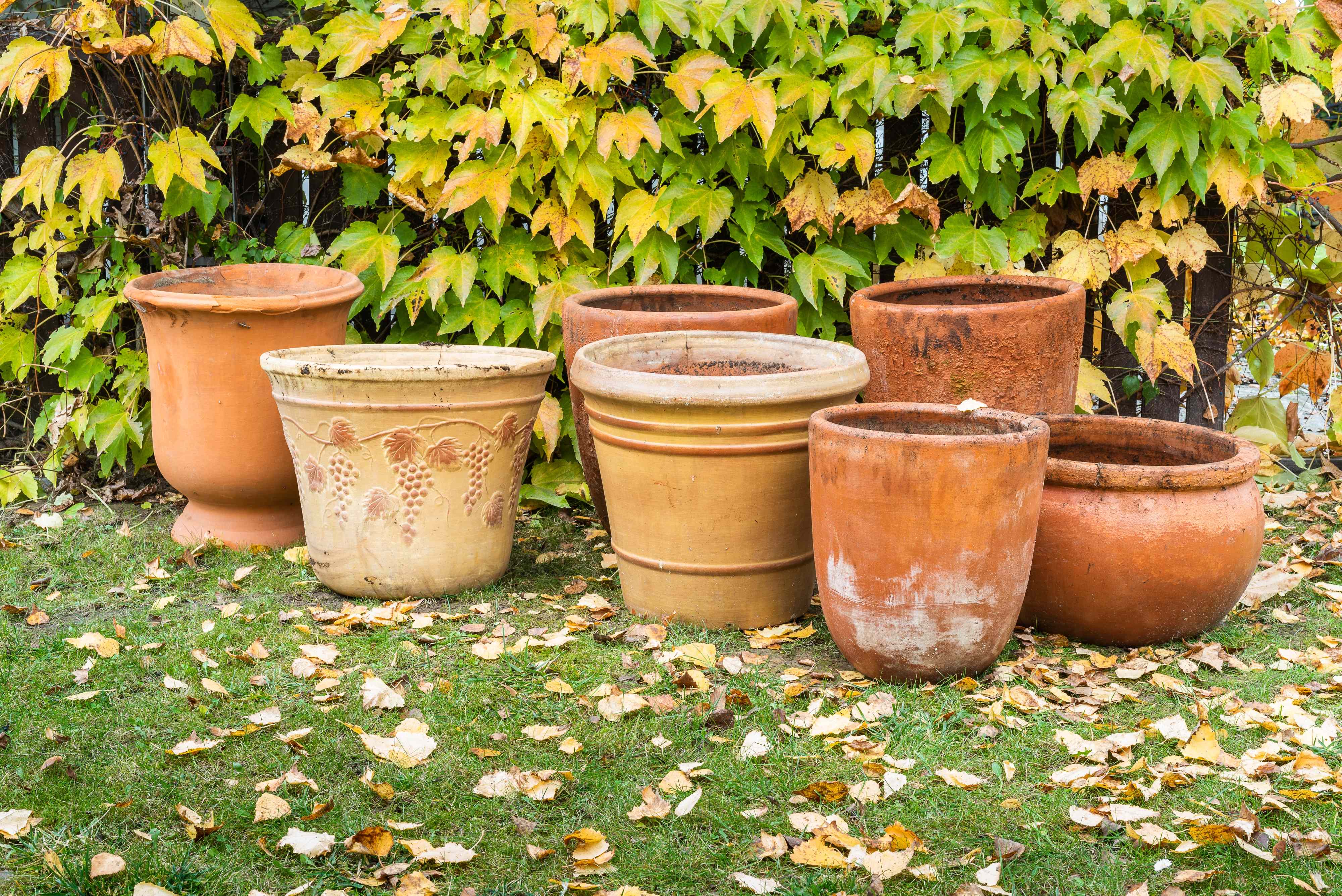Do you really need to empty outdoor planters before winter? Here's what to know