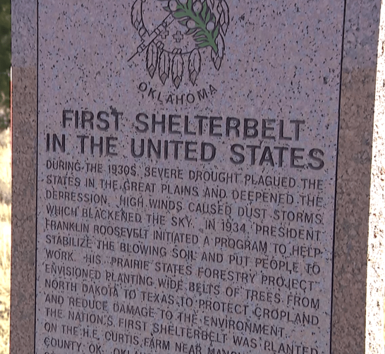 The nation’s first shelter belt is still doing its job 90 years after ...
