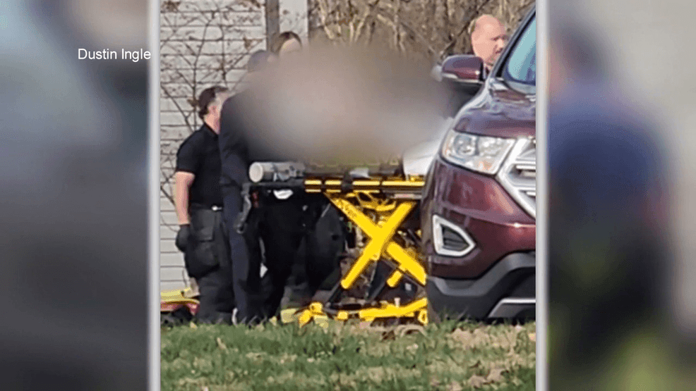 Man stabbed, seriously injured over cat ownership dispute at Asheville ...