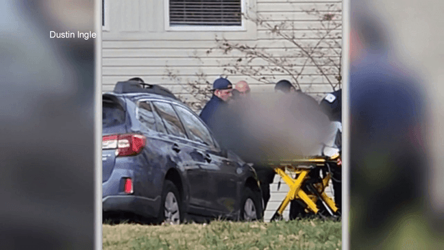 Man stabbed, seriously injured over cat ownership dispute at Asheville ...