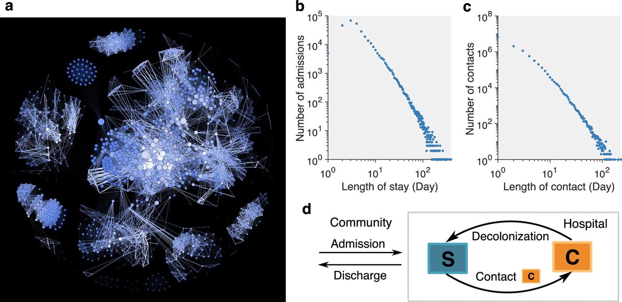 Asymptomatic carriers revealed: Computer model outperforms traditional ...