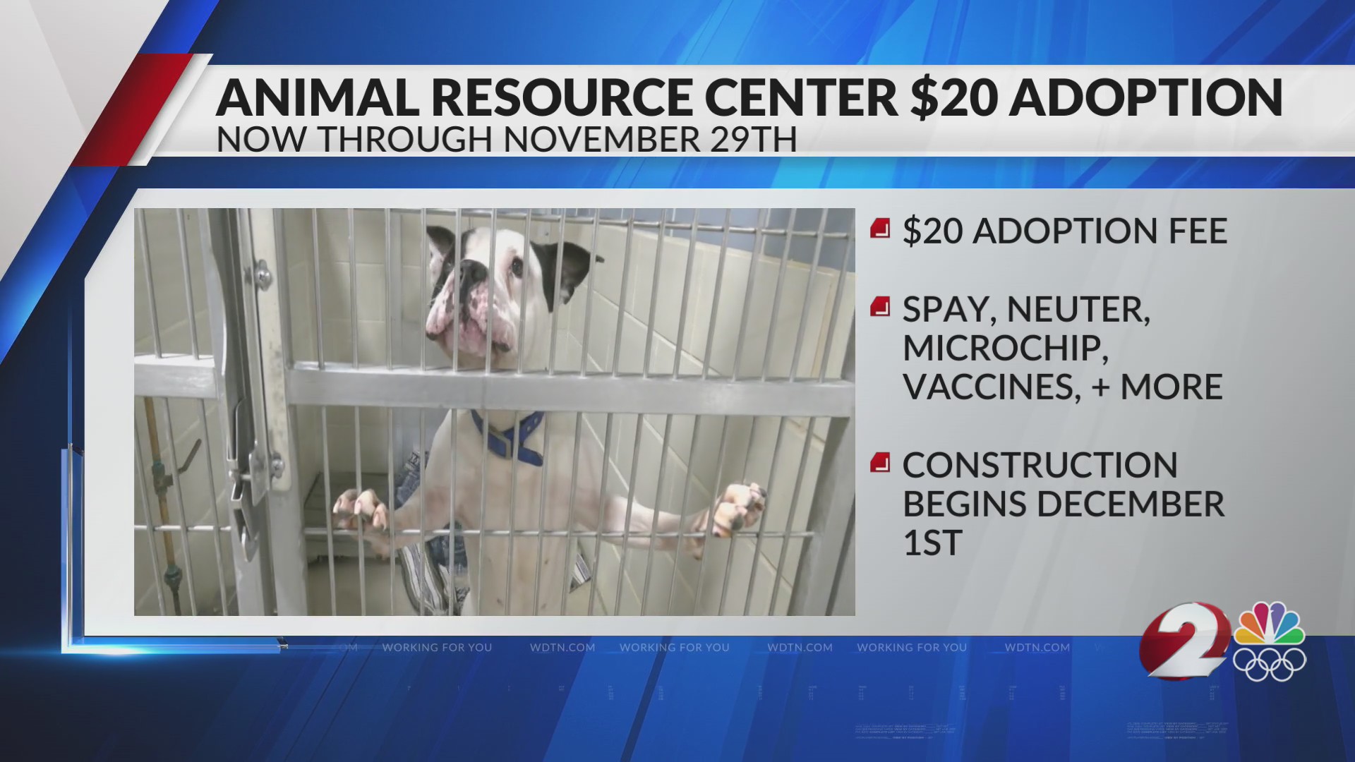 Animal Resource Center $20 adoption