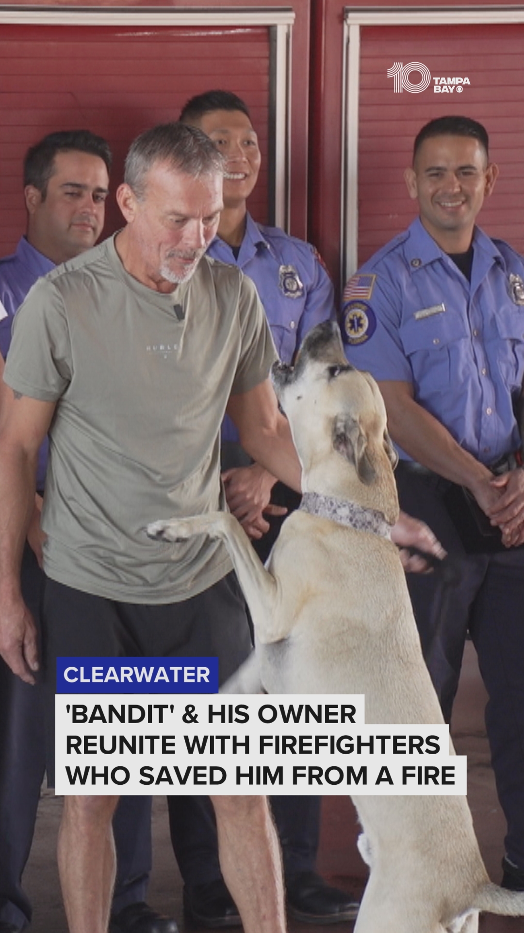 Firefighters reunite with the dog they saved from a burning house