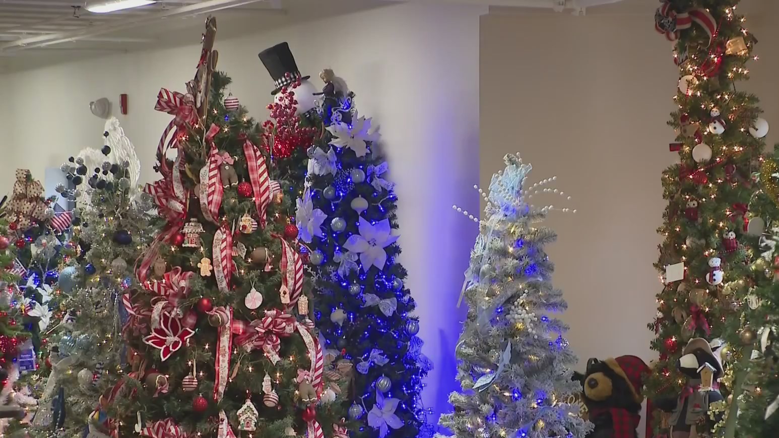 Annual Fayette County Christmas tree raffle raises money for cancer ...