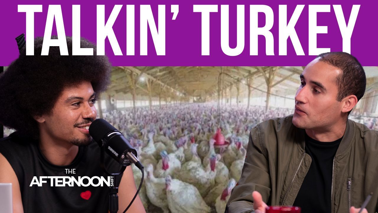 It’s turkey time: Minnesota proud as the nation’s turkey capital