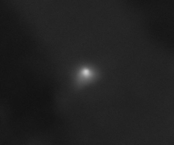 Así luce actualmente el Cometa 3I/ATLAS. Foto: NASA