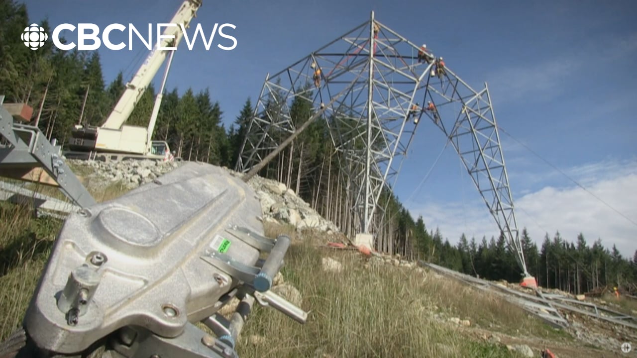 Why politicians are so amped up about these B.C. power lines