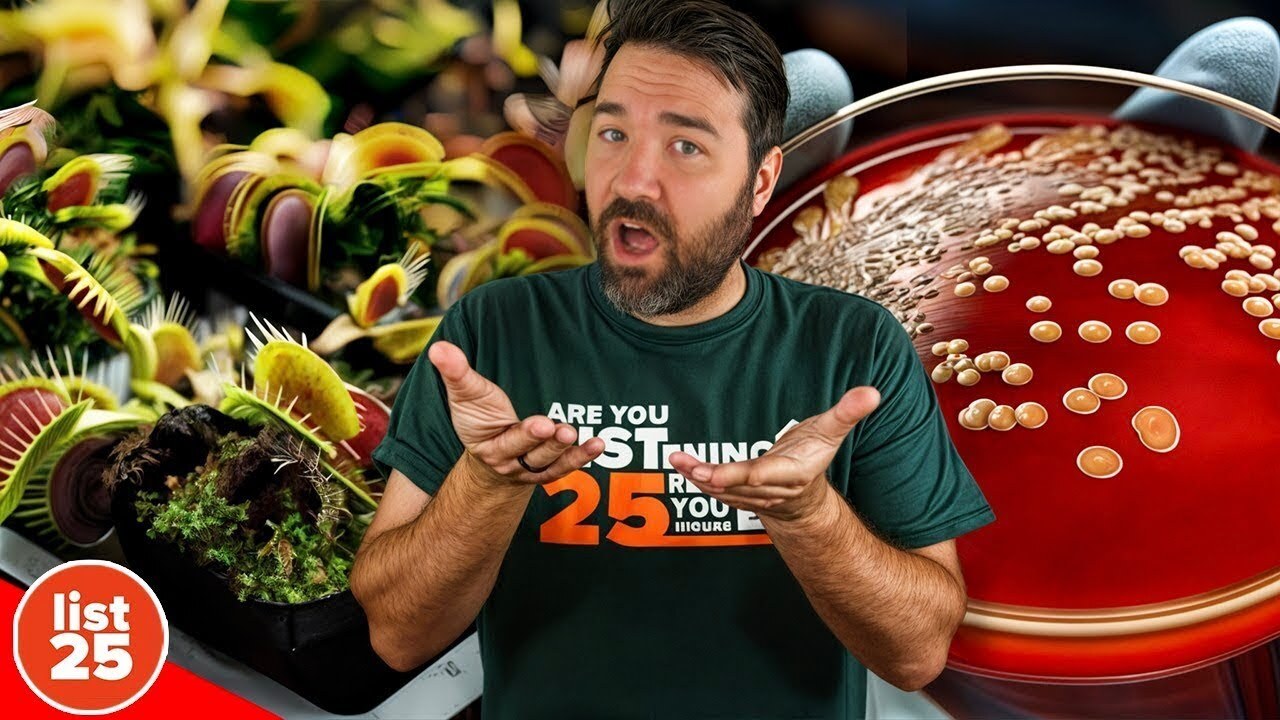25 Random Facts Guaranteed to Blow Your Mind