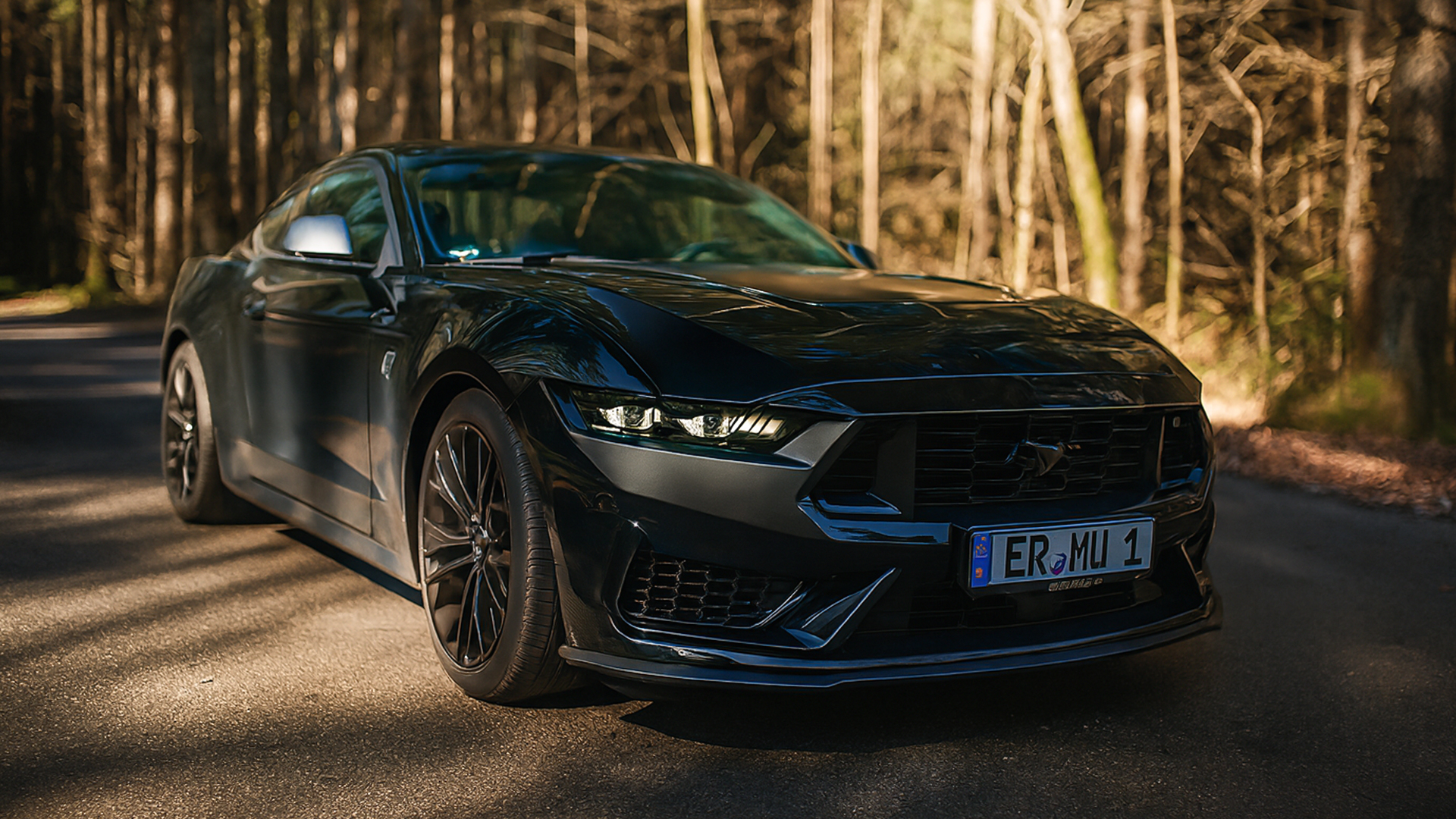 Wunderbar Wie Teuer Ist Ein Mustang Bilder1002737firyal15