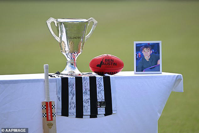 The Chinese 'Temu Range Rover' taking over the school run: Owners tell ...