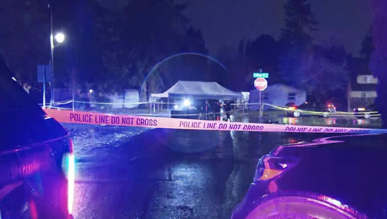 2nd suspect arrested for deadly drive-by shooting of Lacey teen brothers
