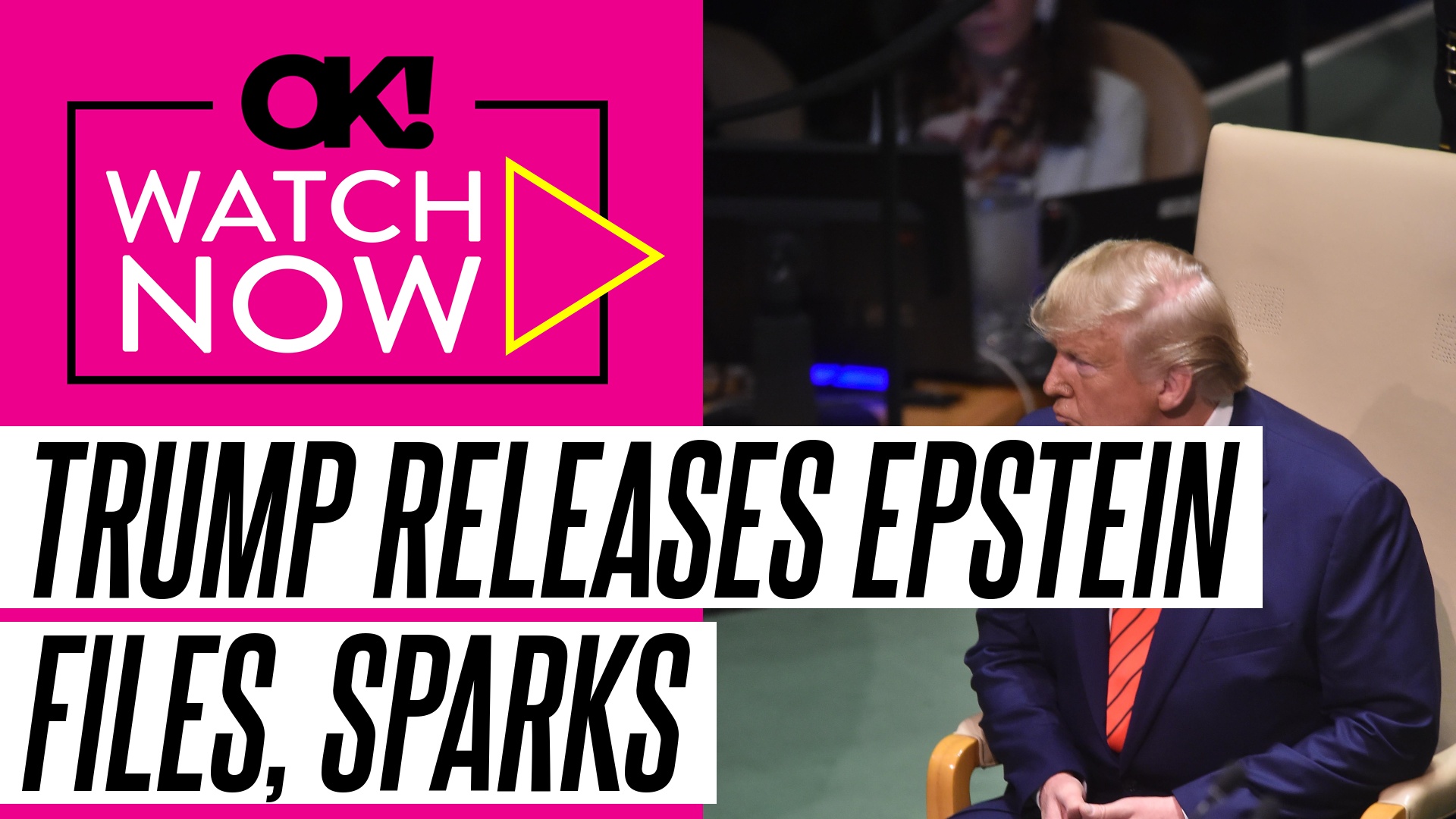 President Donald Trump Signs Bill to Release Epstein Files After ...