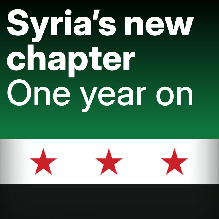Syria after Assad: A year in numbers
