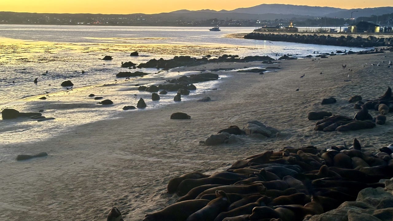 Another Bay Area storm moves in, bringing beach hazard conditions