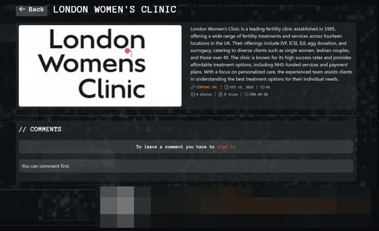 Russian hackers target IVF clinic used by thousands