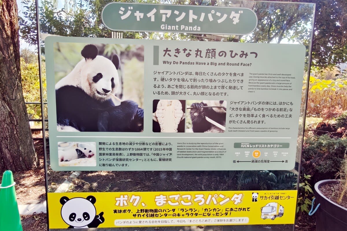 日本からもうすぐパンダがいなくなる＝中国ネット「日本にはクマがいる