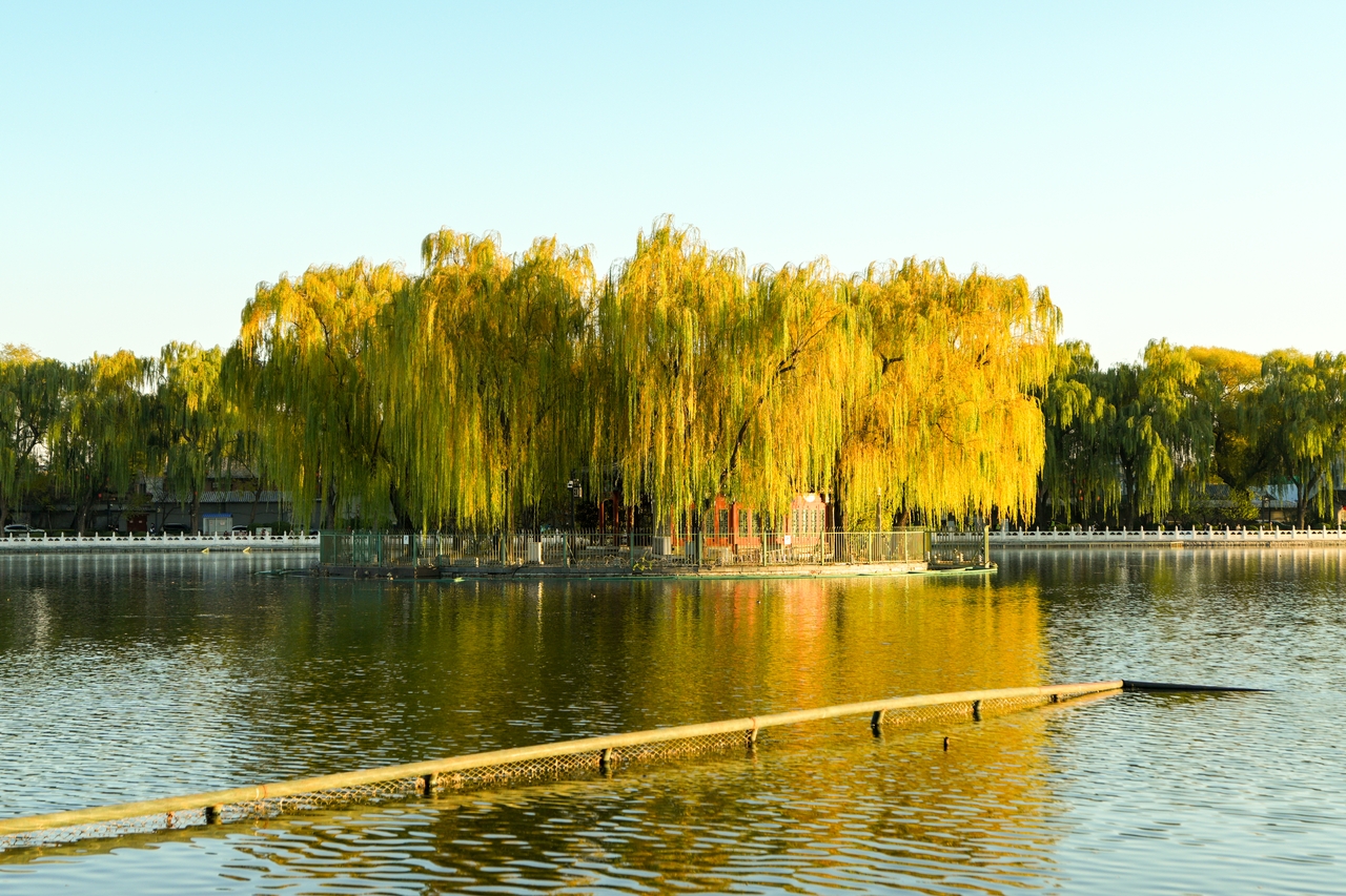 北京鼓楼什刹海秋色