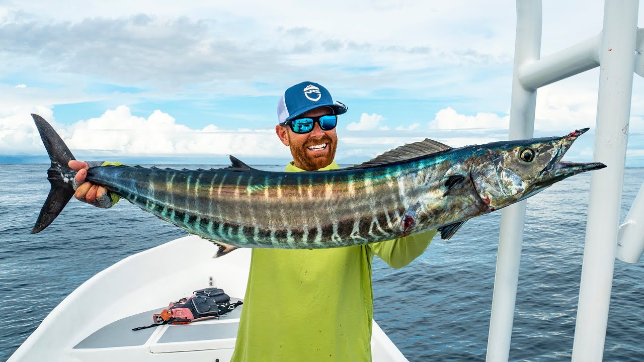 How we hit a record day of big wahoo offshore