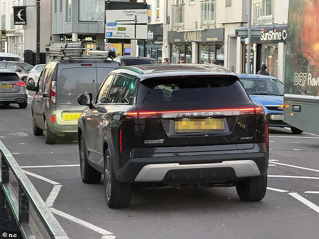 The Chinese 'Temu Range Rover' taking over the school run: Owners tell ...