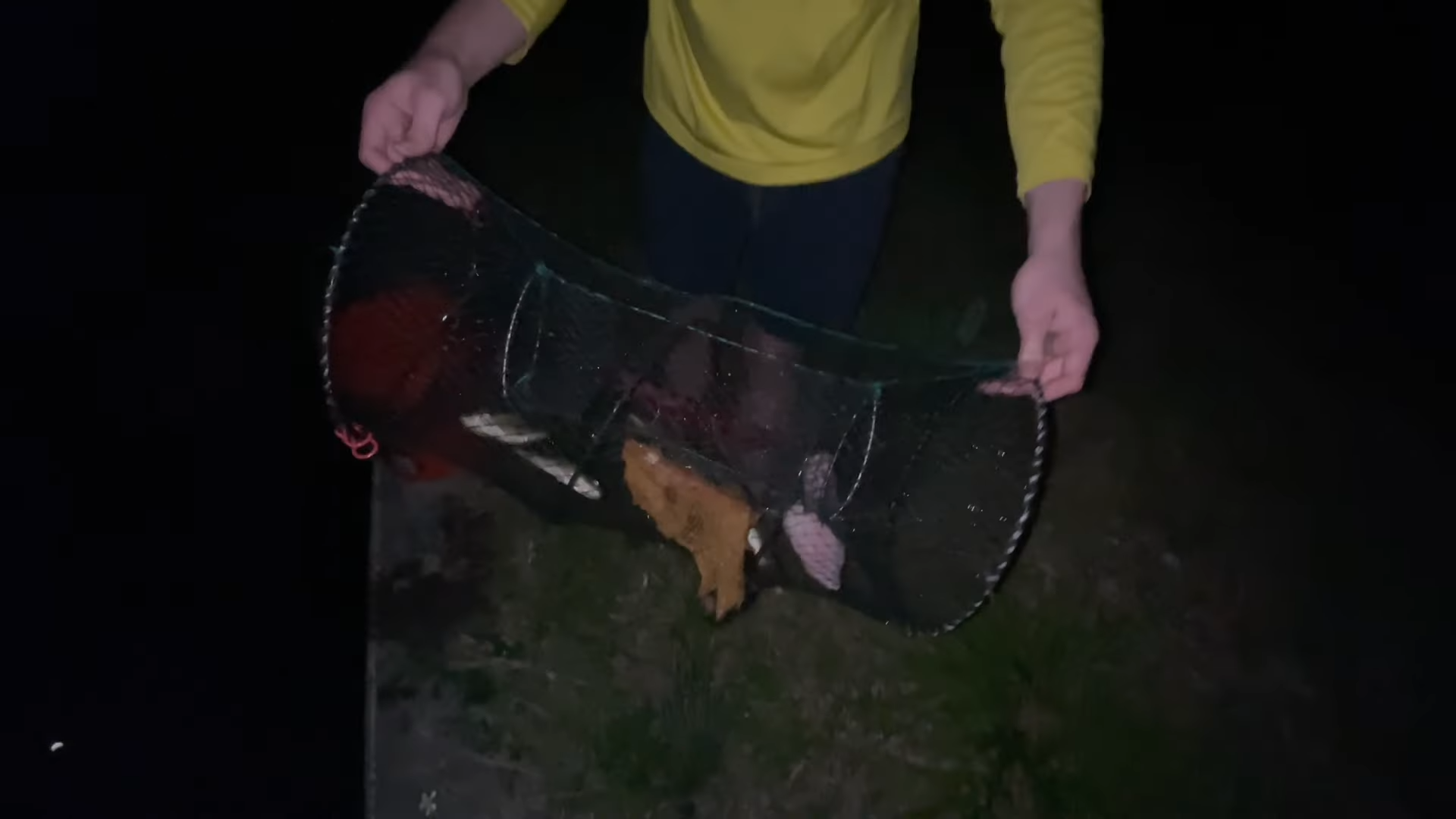 Predatory fish in the secret creek pipe