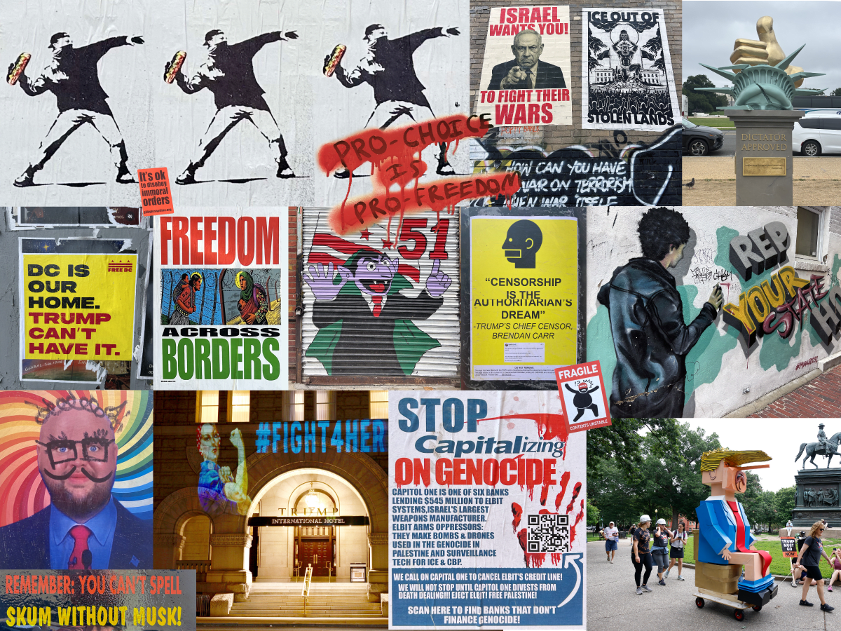 How DC Resists Through Protest Art