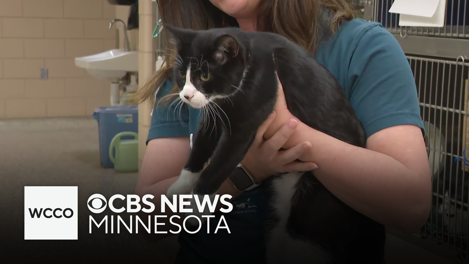 Support the Animal Humane Society on this Give To The Max Day