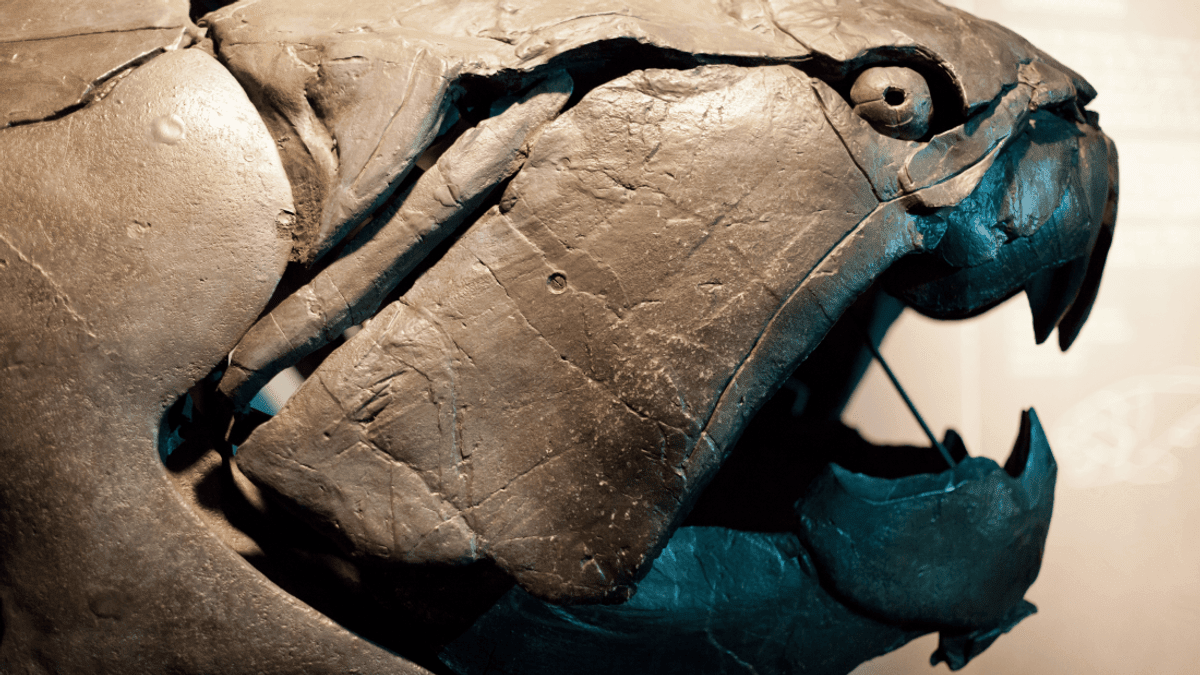 360 Million Years Ago, Cleveland Was Home To A Giant Predatory Fish ...