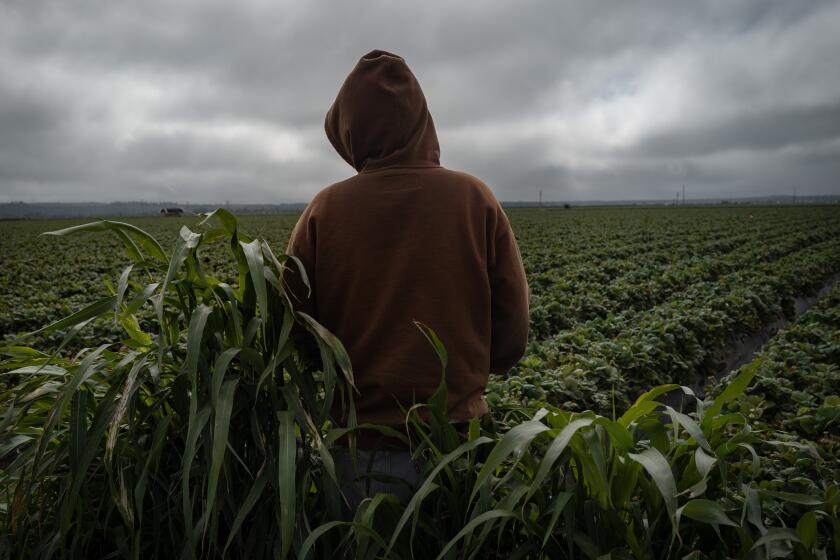 Letters to the Editor: As child farmworkers toil, California needs to ...