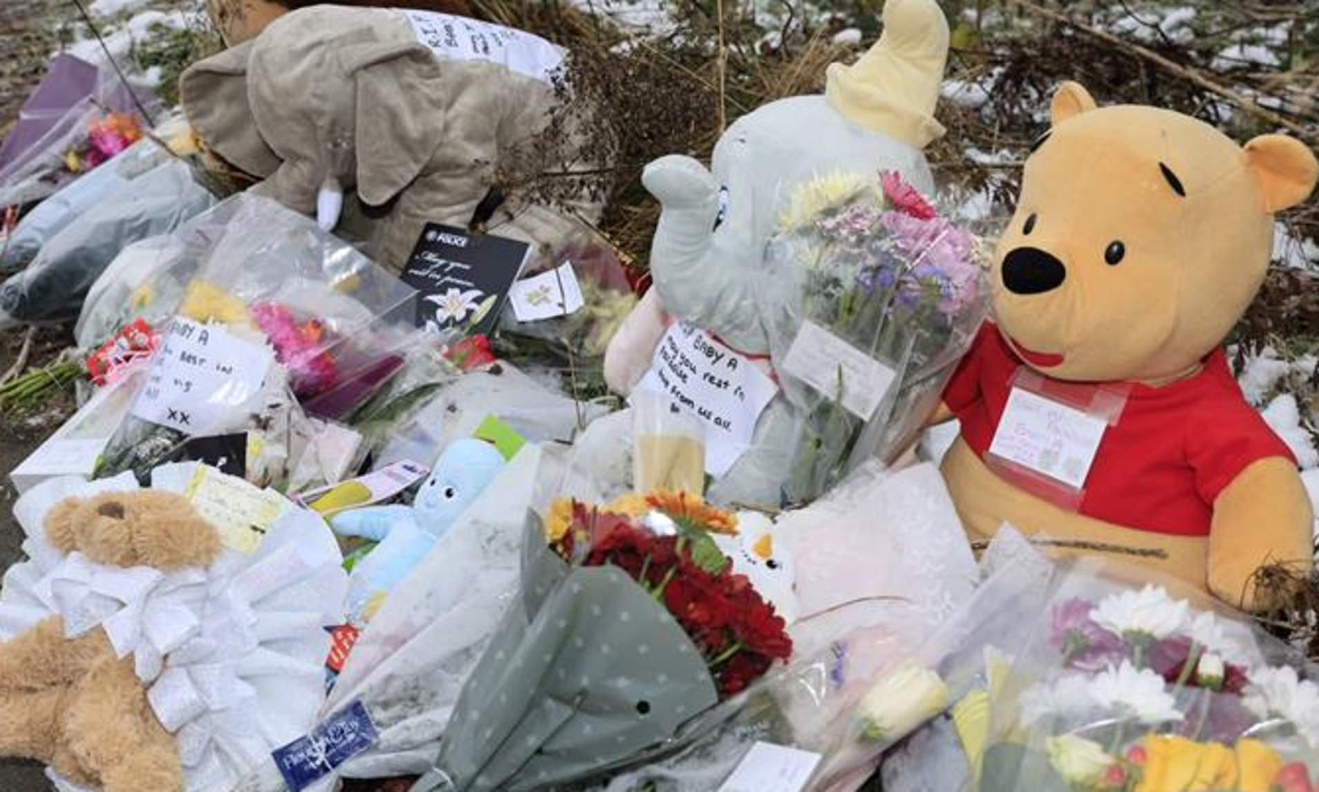 £50,000 reward offered to find mother of mystery baby buried in shallow ...
