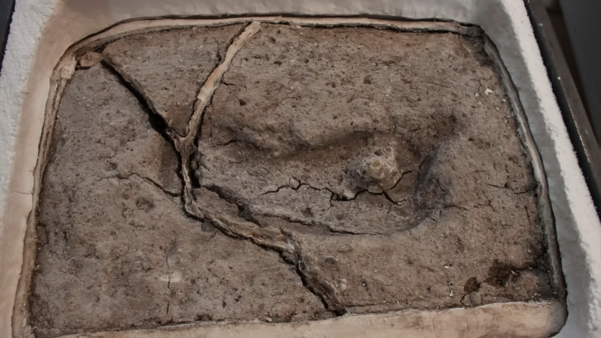 The First Americans: We Arrived 30,000 Years Ago, Not 13,000