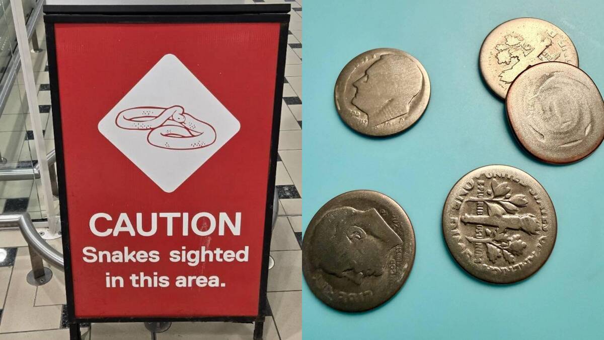 Photos of Random Everyday Surprises