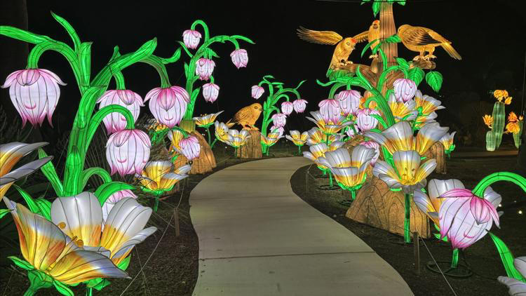 Illuminate returns with new glow as San Antonio Botanical Garden teases ...