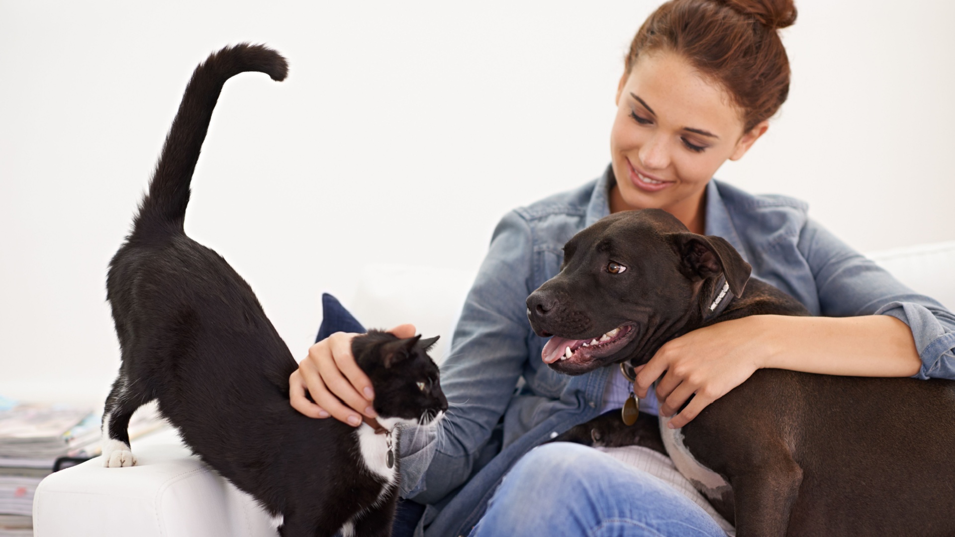 The Most Important Life Lessons We Learn From Our Pets
