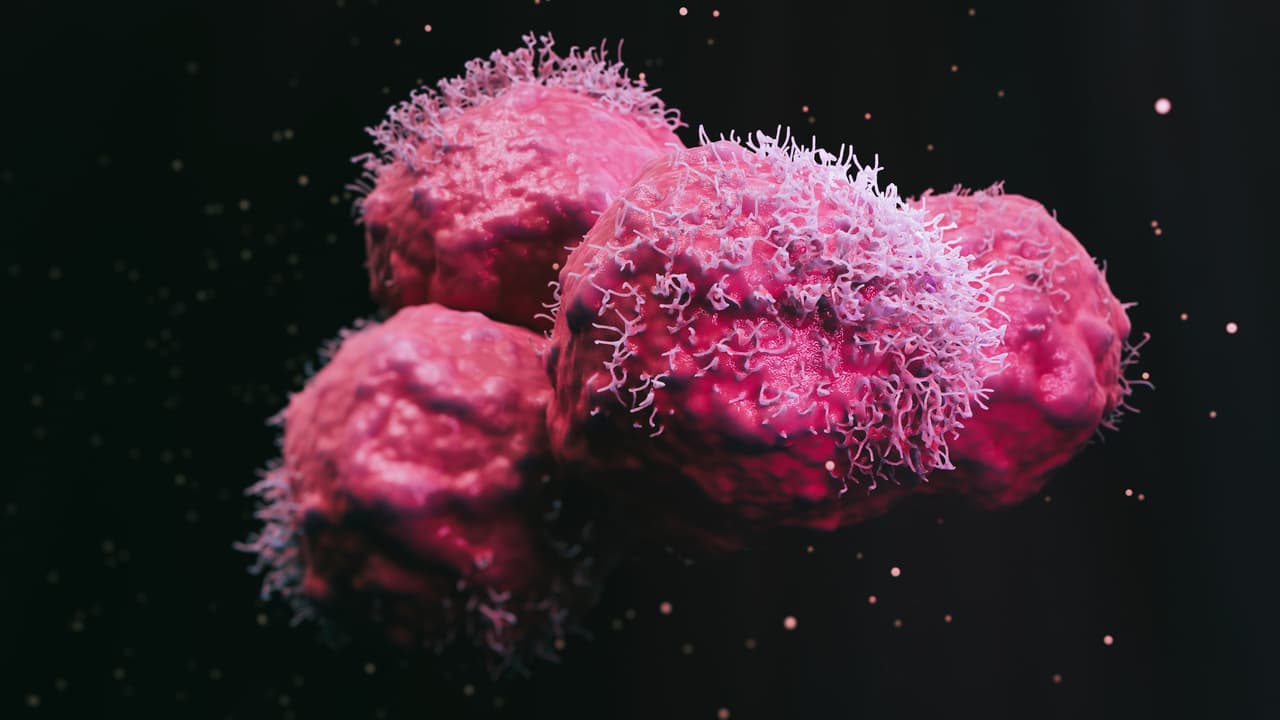 Blocking One Protein Triggers Lung Cancer Cells to Self-Destruct, Study ...