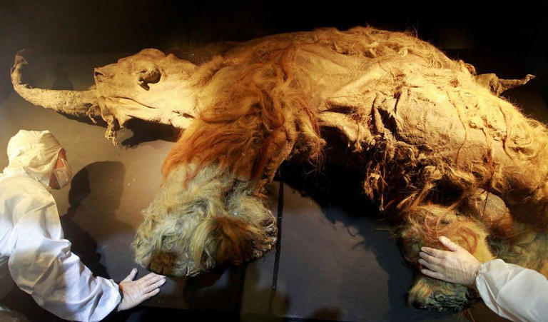 De-Extinction No Longer Sci-Fi: Ancient Molecule Found in a 40,000-Year ...