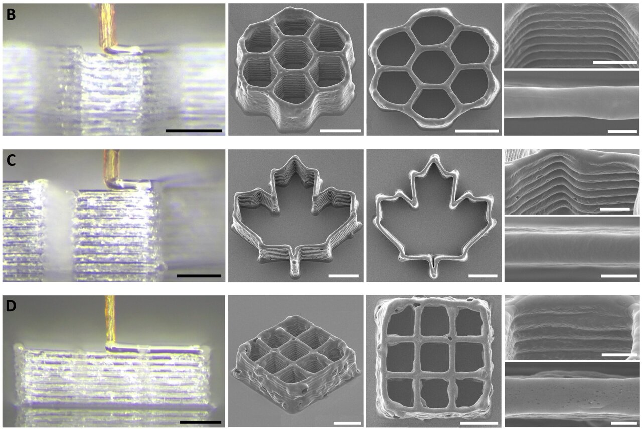 Engineers repurpose a mosquito proboscis to create a 3D printing nozzle