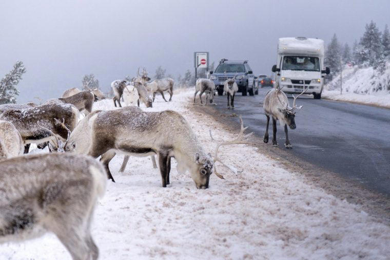 Ice warnings extended as UK braces for ‘thundersnow’ after -6°C night