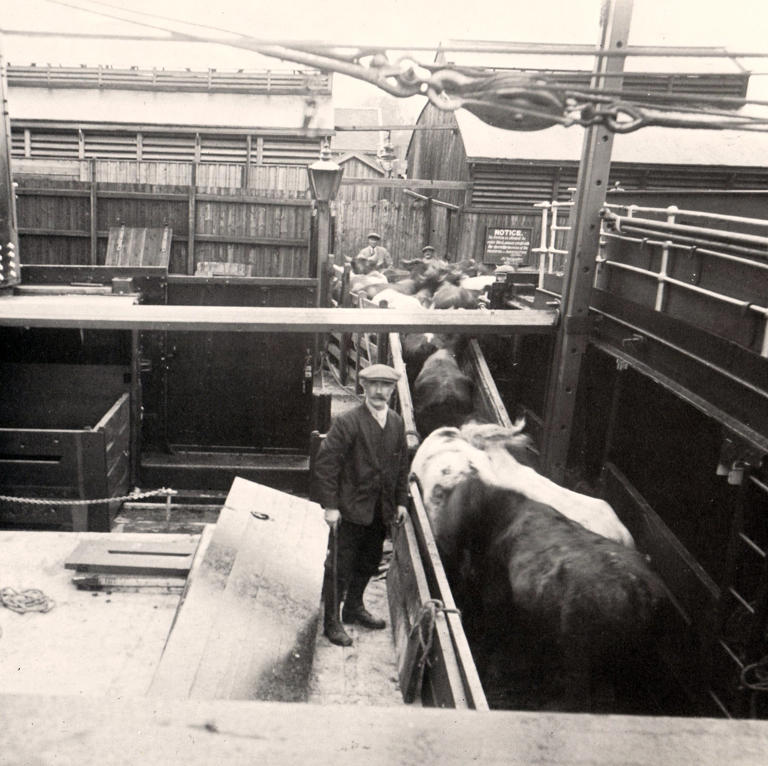 30 historic pictures of Preston in 1930 which show exactly what life ...
