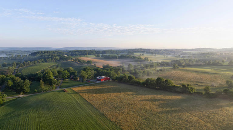 A Charming Virginia County Offers Beautiful Scenery & Wineries In The ...