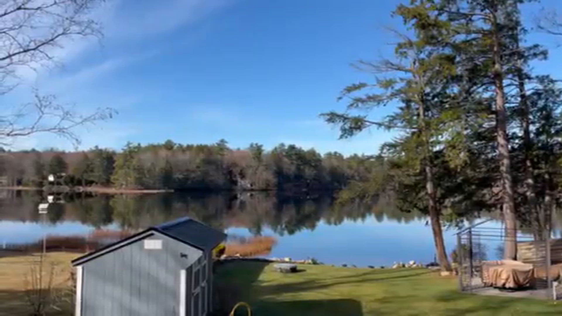 Still as a millpond at Forest Lake