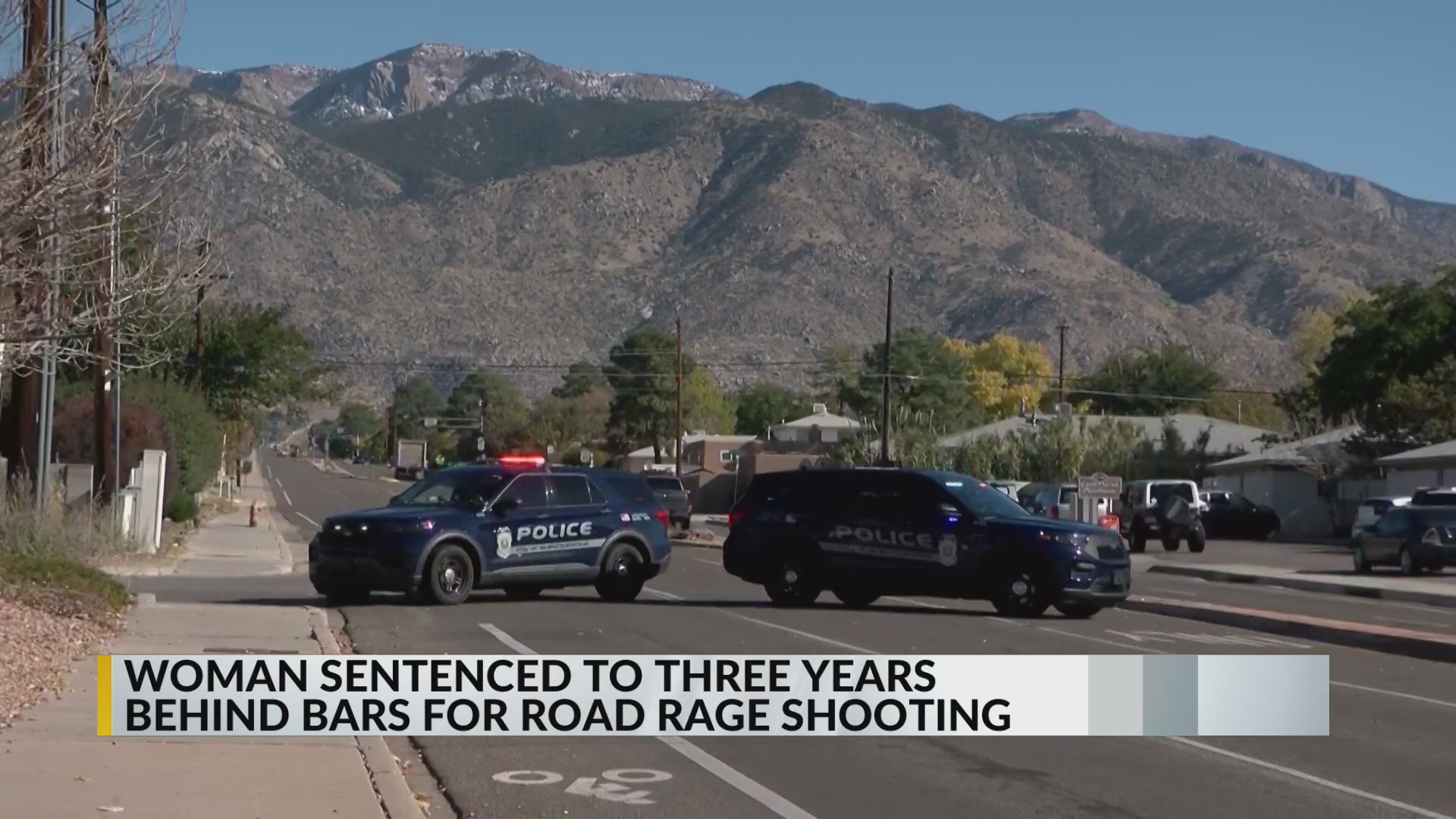 Woman sentenced for shooting man during road rage incident in northeast ...