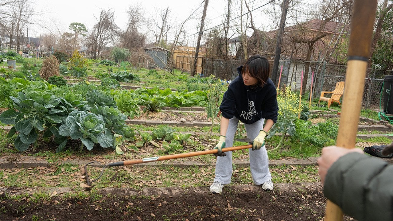 How urban farms can make cities more livable and help feed America