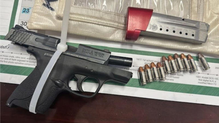 2 Hillsborough high school students arrested after loaded gun is found ...