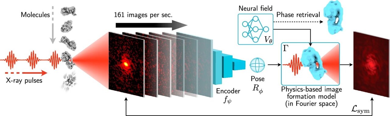 Machine learning algorithm rapidly reconstructs 3D images from X-ray data