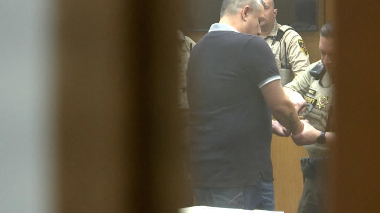 Repeat offender sentenced to jail for theft