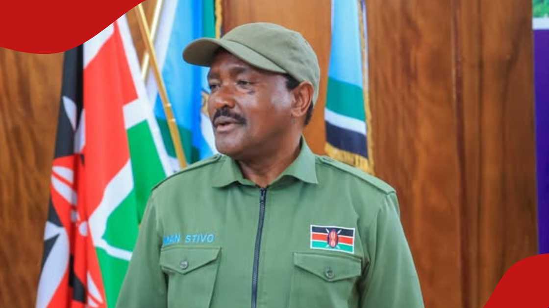 Esther Passaris defends Ruto, says he lacks a worthy opponent ahead of ...