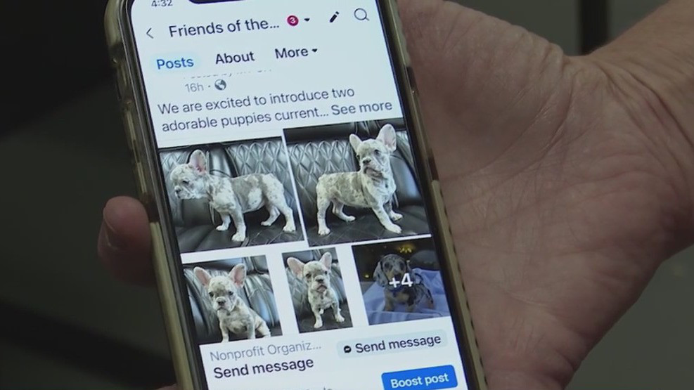 Stokes County animal shelter warns of scam targeting pet owners
