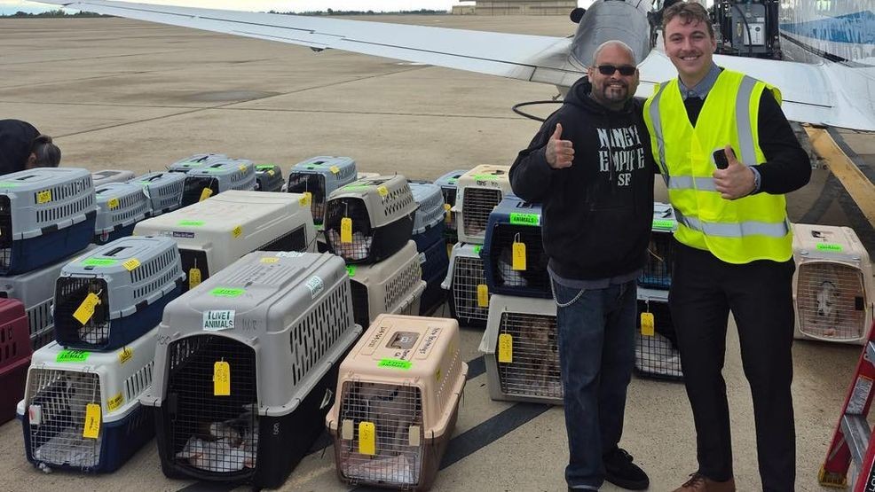 Shelter animals find hope as Wings of Rescue launches transport mission ...